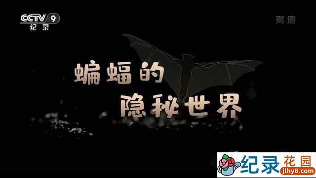 央视野生动物纪录片《蝙蝠的隐秘世界》全1集 TS/蓝光高清纪录片资源百度云盘下载