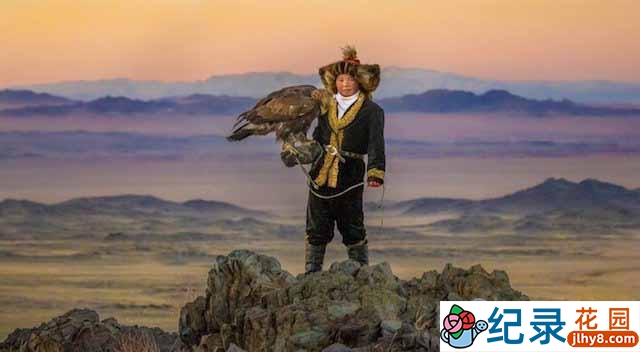 BBC生物研究纪录片《野生动物特辑 Wild Specials》全14集 标清纪录片资源百度云盘下载