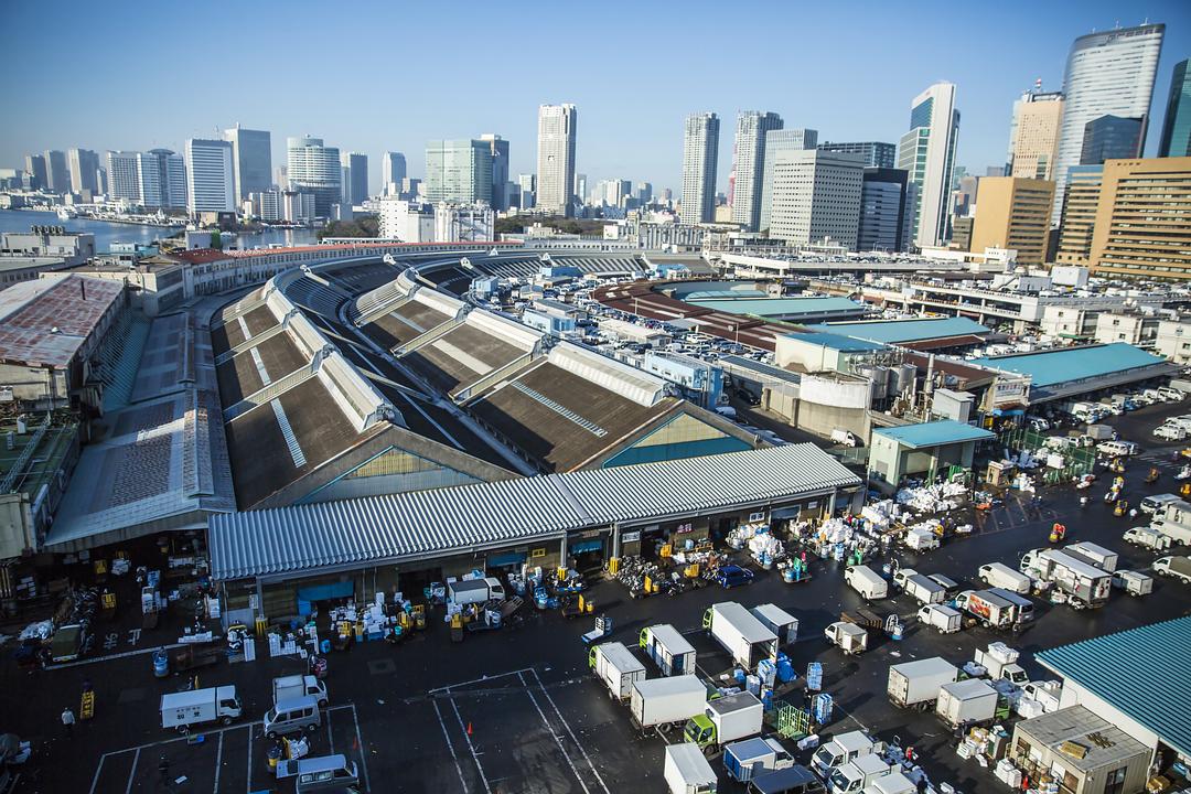 筑地仙境 築地ワンダーランド