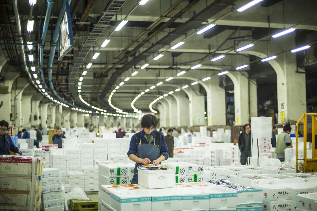 筑地仙境 築地ワンダーランド