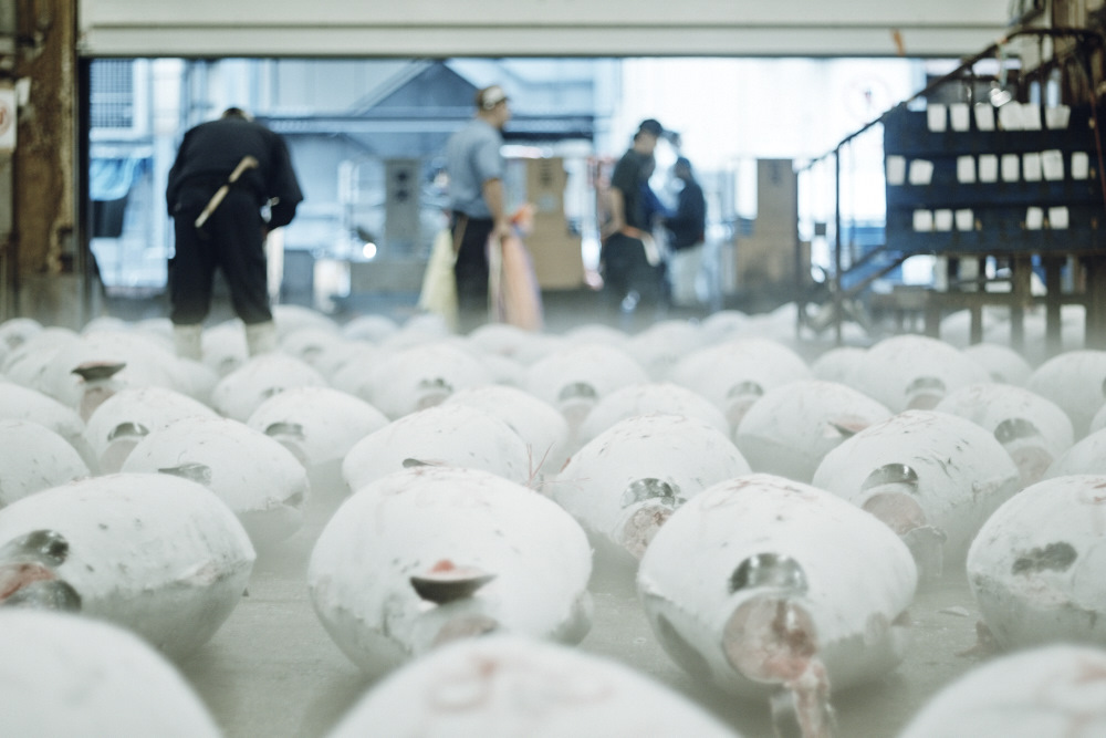 筑地仙境 築地ワンダーランド