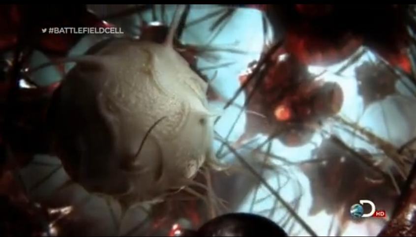 绝对好奇：细胞战场 Curiosity: Battlefield Cell