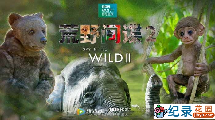 BBC动物间谍纪录片《荒野间谍 Spy in the Wild》第2季 720P/1080i高清纪录片资源百度云盘下载