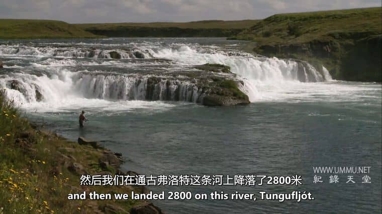 大西洋鲑鱼：迷失在海上 Atlantic Salmon: Lost at Sea