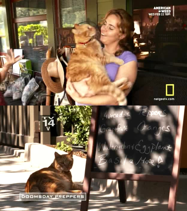 末日杂牌军 第一季 Doomsday Preppers Season 1