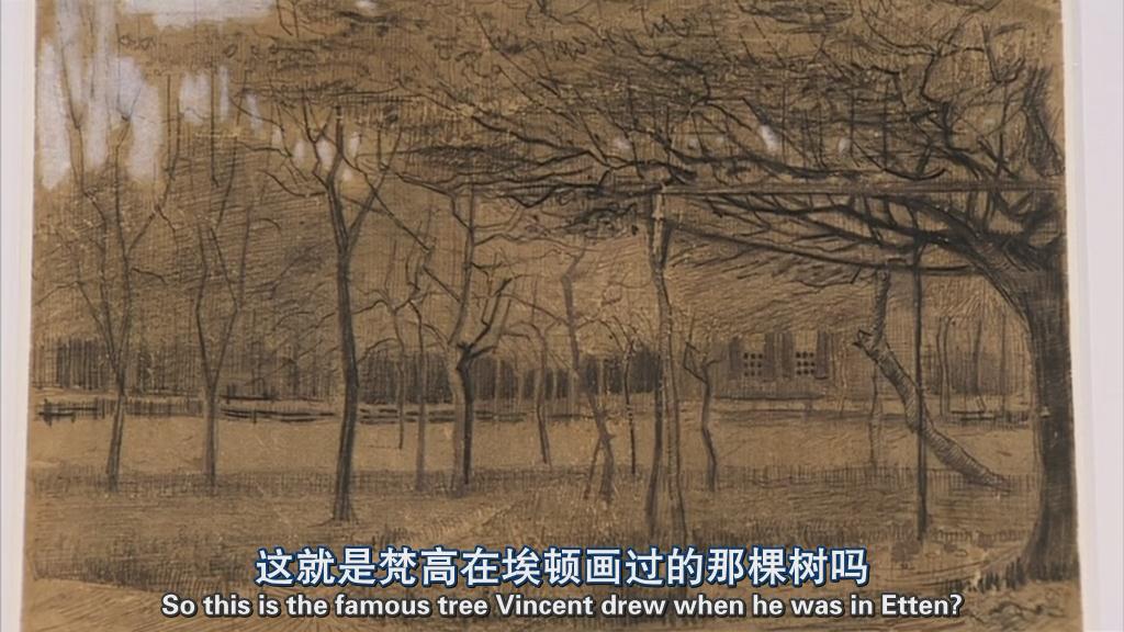 文森特· 凡· 高全传 Vincent: The Full Story