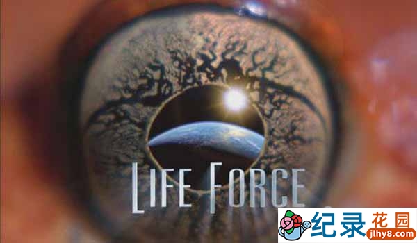 NHK自然生态纪录片《生命的力量 Life Force》第1季 720P/1080i高清纪录片资源百度云盘下载
