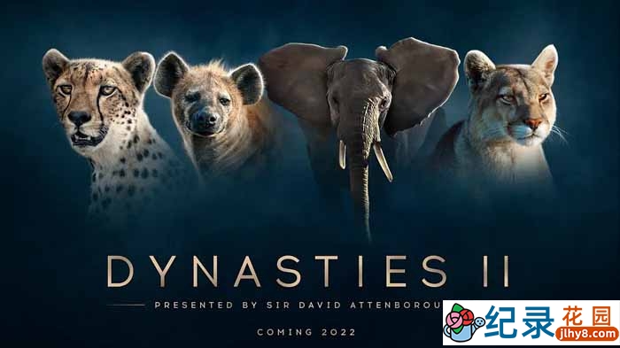 BBC野生动物纪录片《王朝 Dynasties》第2季中字 4K纪录片资源百度云盘下载