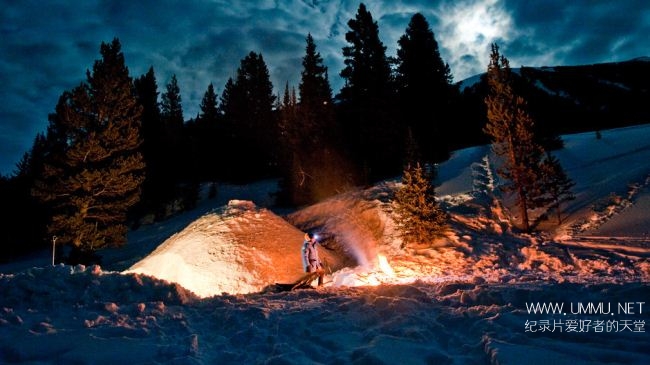 荒野远征：狼群探索/走进狼群 Inside The Wolf Pack