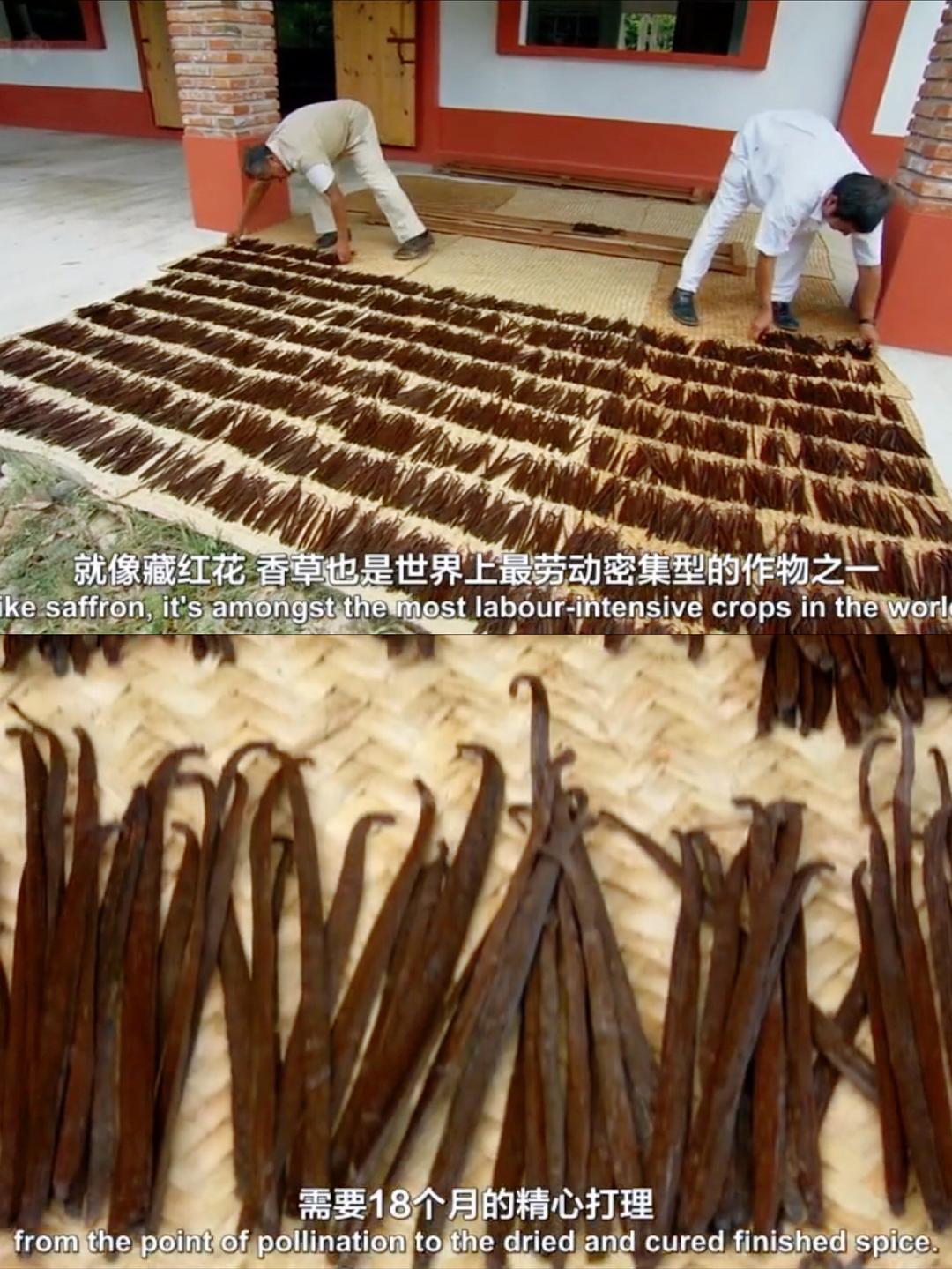 香料之路 The Spice Trail