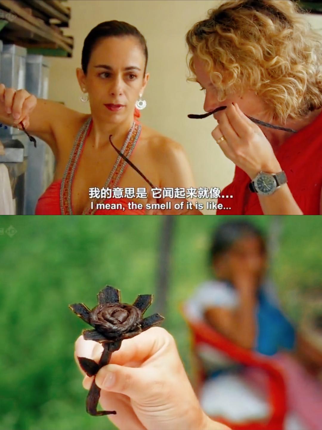 香料之路 The Spice Trail