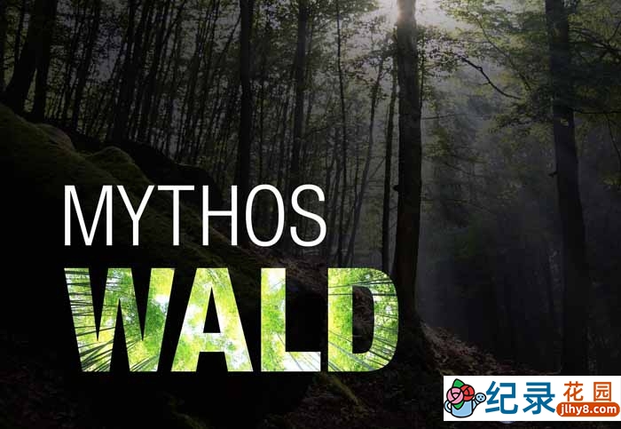 德国自然生态纪录片《神话的森林 Mythos Wald》全2集 720P/1080i高清纪录片百度云下载