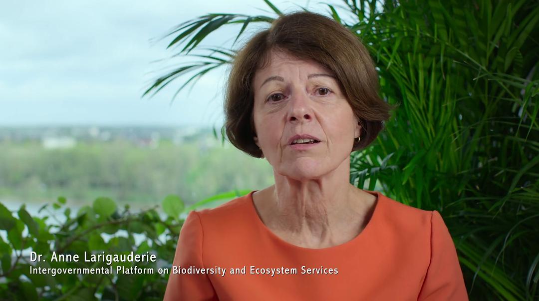 打破边界：我们星球的科学 Breaking Boundaries: The Science of Our Planet