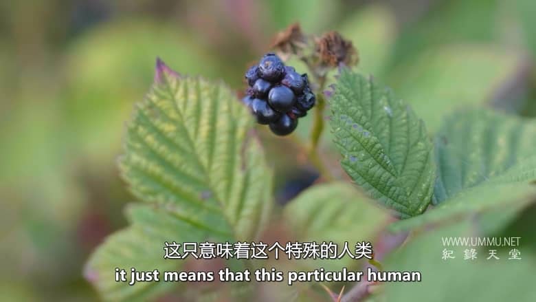 完美的年份 A Perfect Vintage