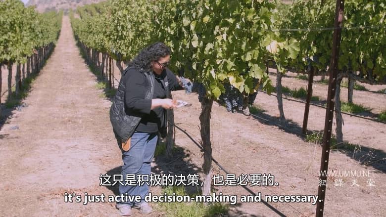 完美的年份 A Perfect Vintage