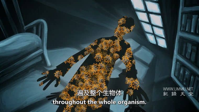 蝙蝠超能力 Bat Superpowers