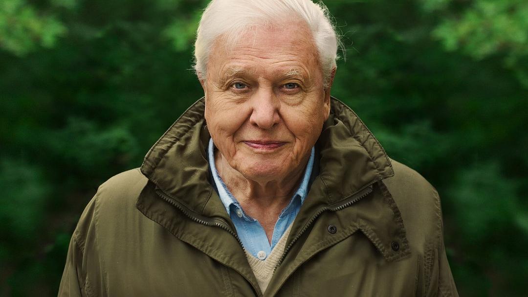 大卫·爱登堡：地球上的一段生命旅程 David Attenborough: A Life on Our Planet
