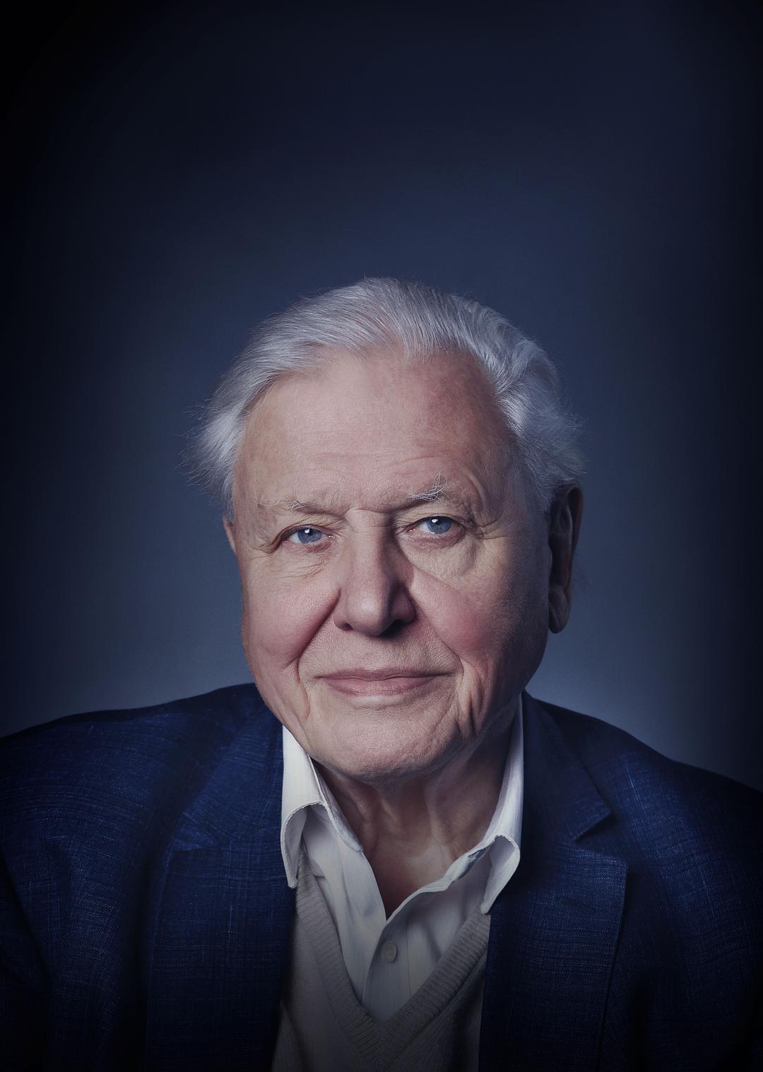 大卫·爱登堡：地球上的一段生命旅程 David Attenborough: A Life on Our Planet