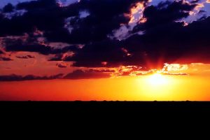 杰克卡特的生命