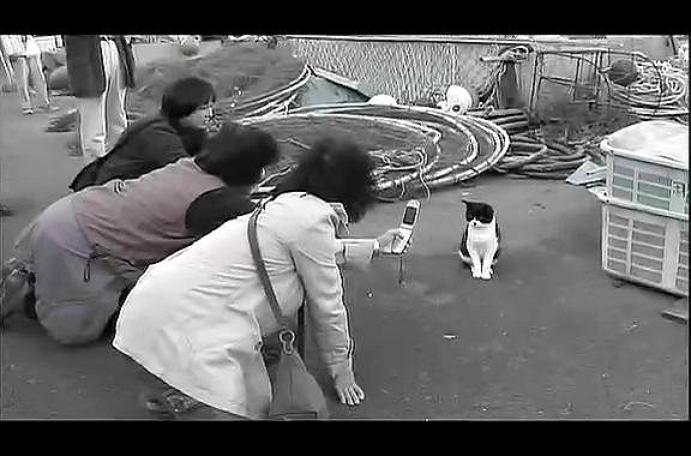 猫咪物语4 にゃんこ THE MOVIE4