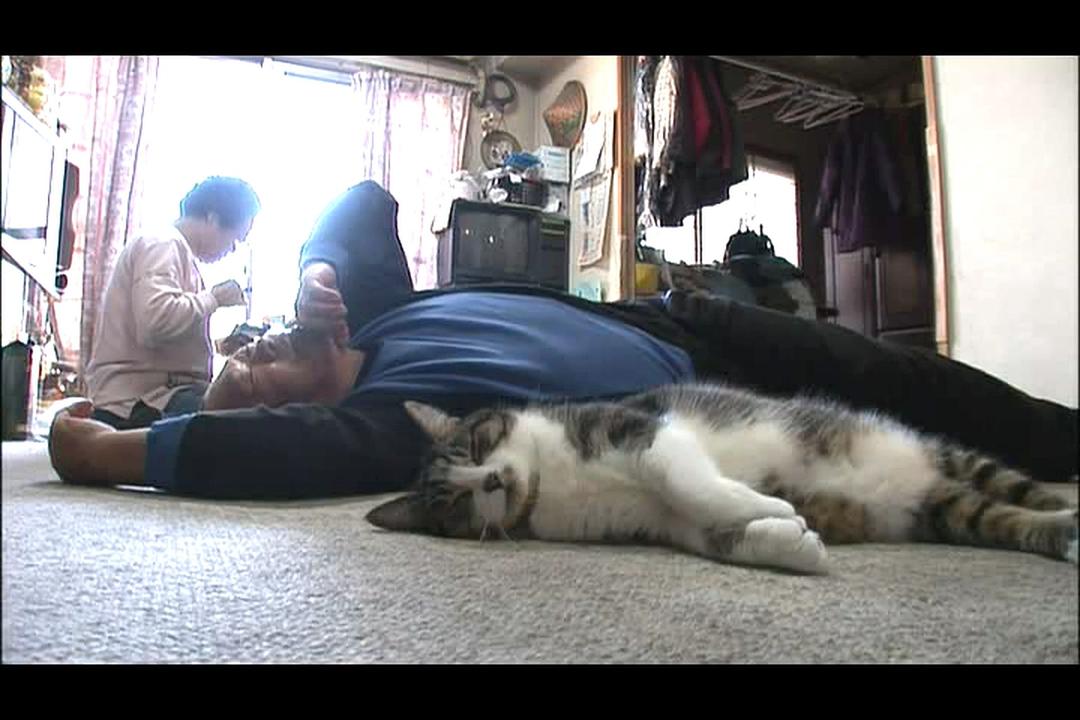 猫咪物语4 にゃんこ THE MOVIE4