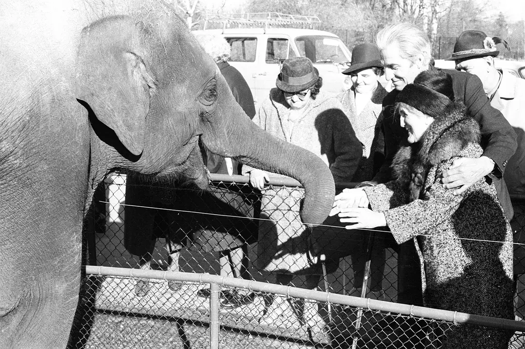 沉默与黑暗的世界 Land des Schweigens und der Dunkelheit