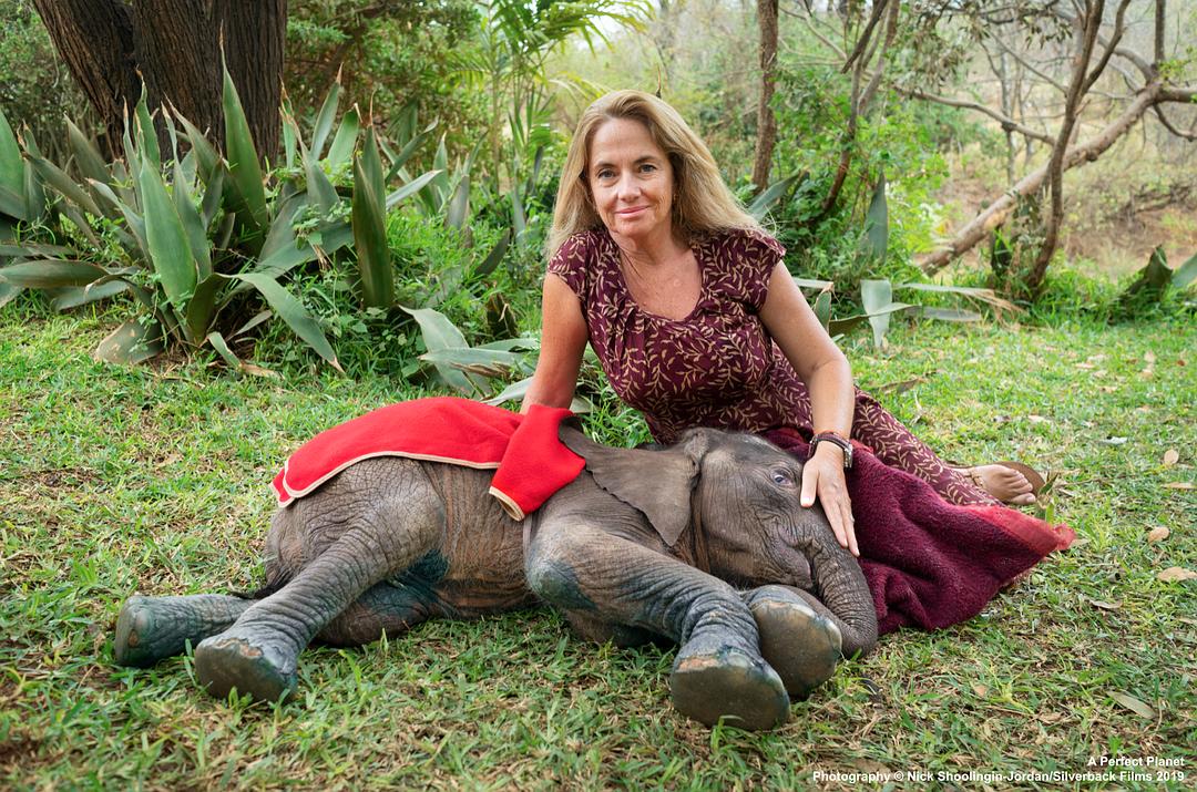 完美星球 A Perfect Planet