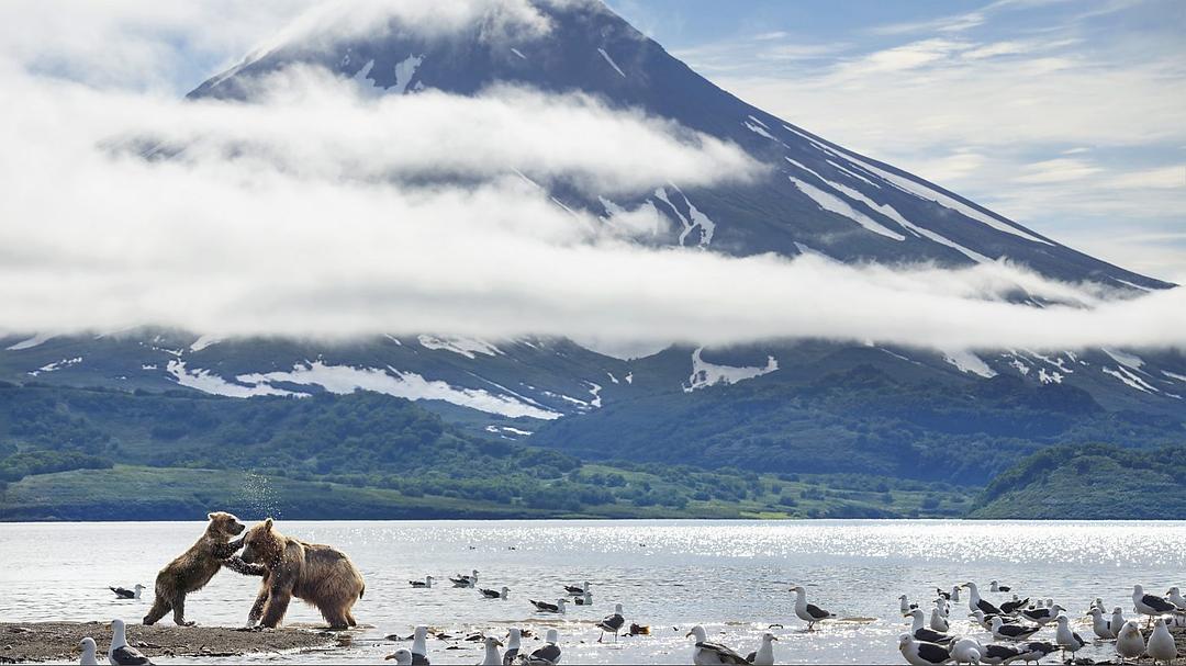 完美星球 A Perfect Planet