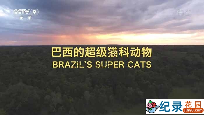 BBC动物保护纪录片《美洲豹 – 巴西的超级猫科动物》全1集中字 TS/蓝光高清纪录片资源百度云盘下载