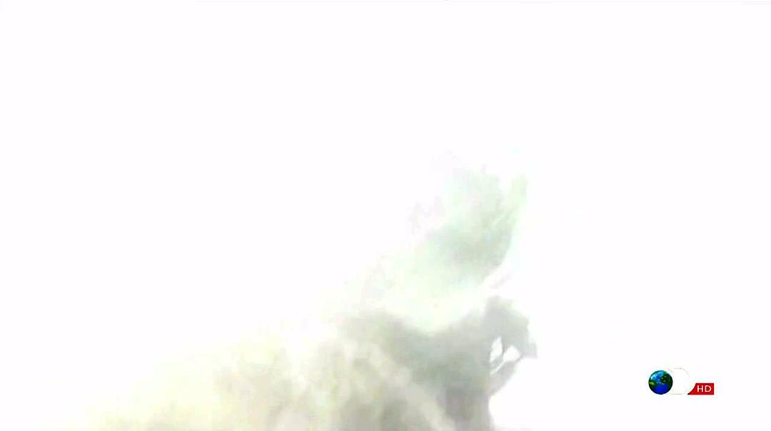 尖兵实录 第一季 Surviving The Cut Season 1