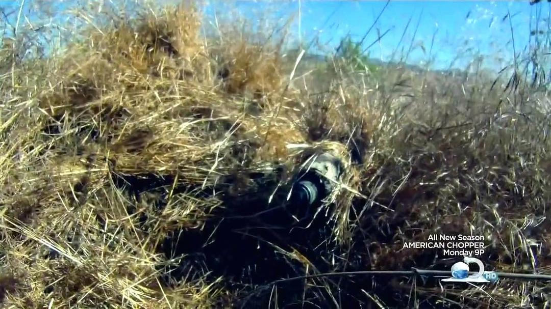 尖兵实录 第一季 Surviving The Cut Season 1