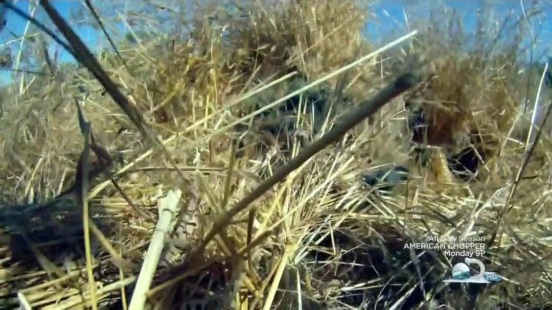 尖兵实录 第一季 Surviving The Cut Season 1