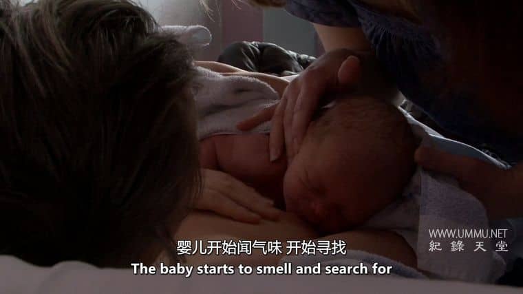 微分娩 Microbirth