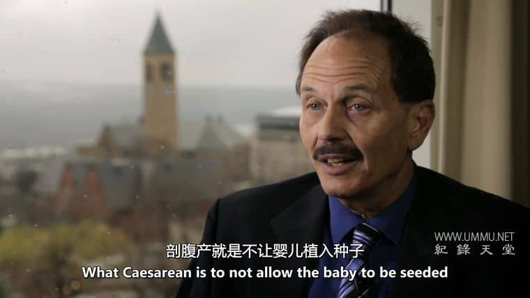 微分娩 Microbirth