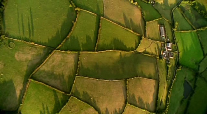 野性欧洲 Wild Europe