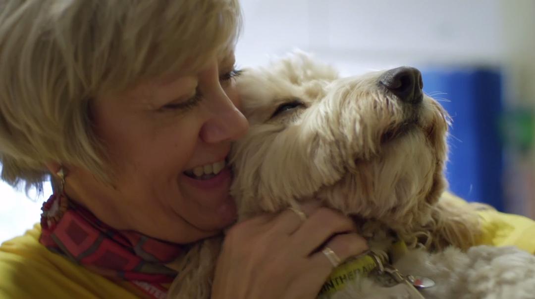 狗的秘密生活 Secret Life of Dogs