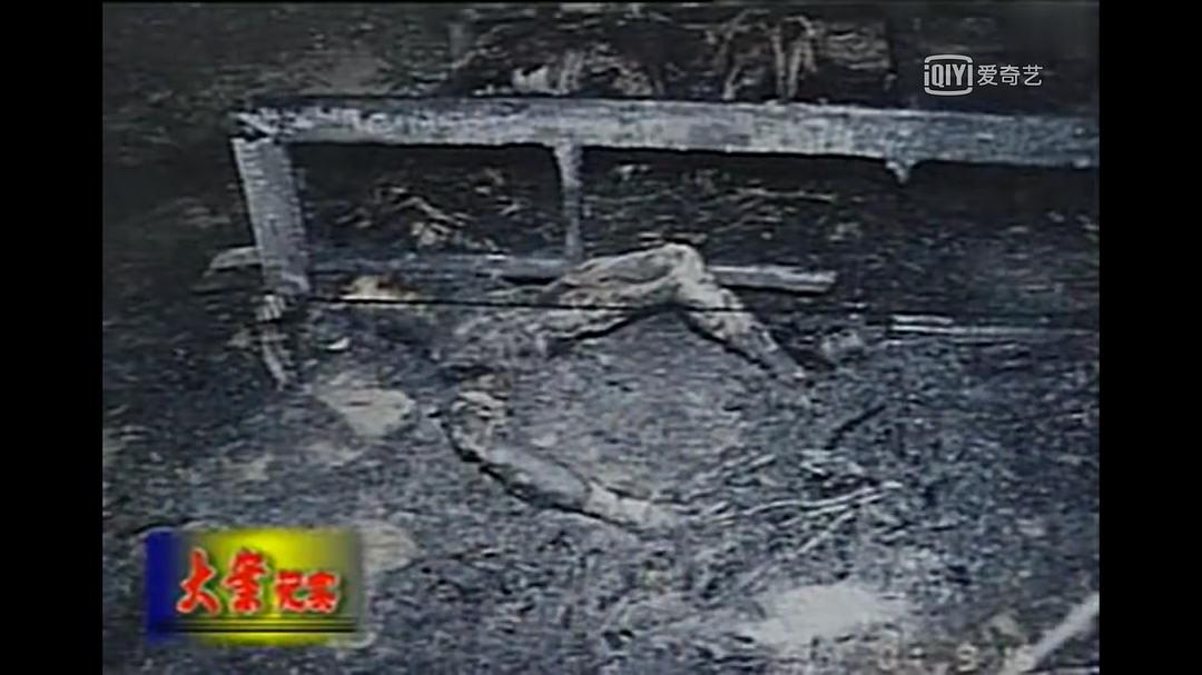 中国西部刑侦大案纪实