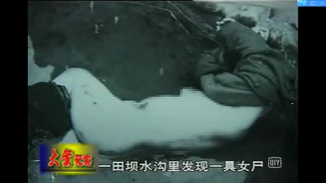 中国西部刑侦大案纪实