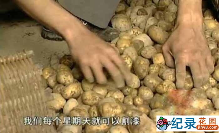 社会人文纪录片《中国民间生存实录 漆》全1集 标清纪录片资源百度云盘下载