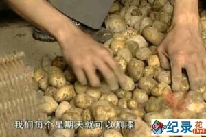 社会人文纪录片《中国民间生存实录 漆》全1集 标清纪录片资源百度云盘下载