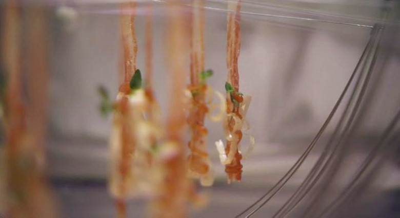 碟碟相传 Spinning Plates