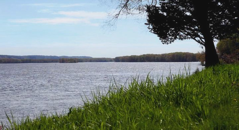 碟碟相传 Spinning Plates