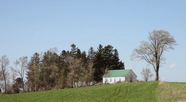 碟碟相传 Spinning Plates