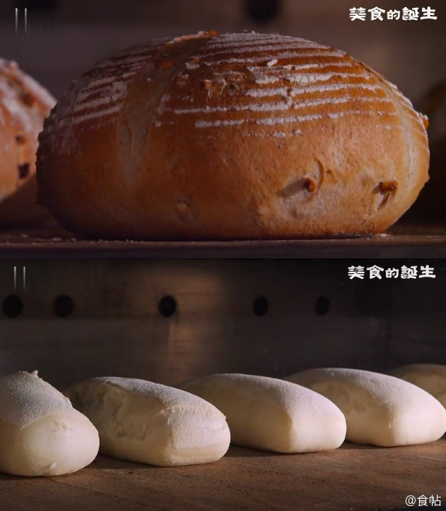 美食的诞生 글로벌 대기획 요리인류