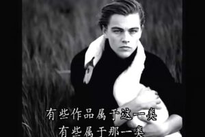 镜头里的人生：肖像摄影大师安妮·莱博维茨 Annie Leibovitz: Life Through a Lens