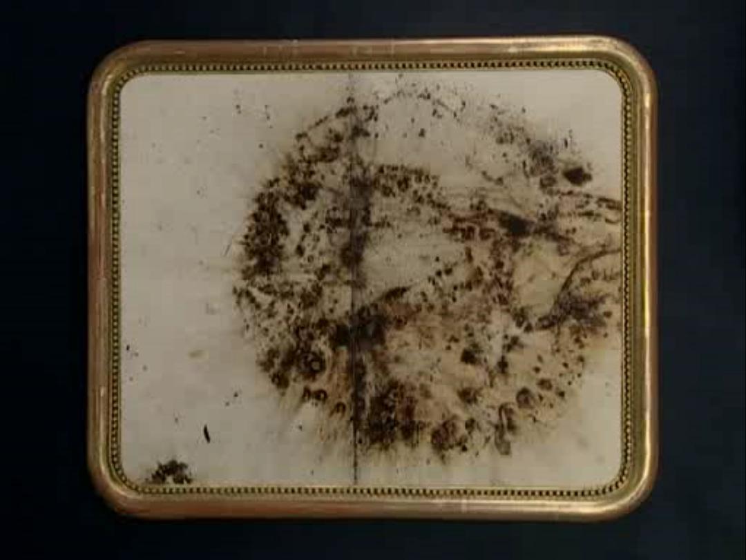 拾穗者 Les glaneurs et la glaneuse