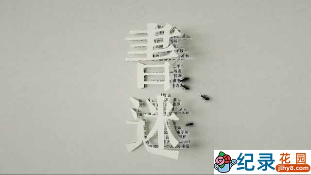 央视读书文化纪录片《书迷》全4集 TS/蓝光高清纪录片资源百度云盘下载