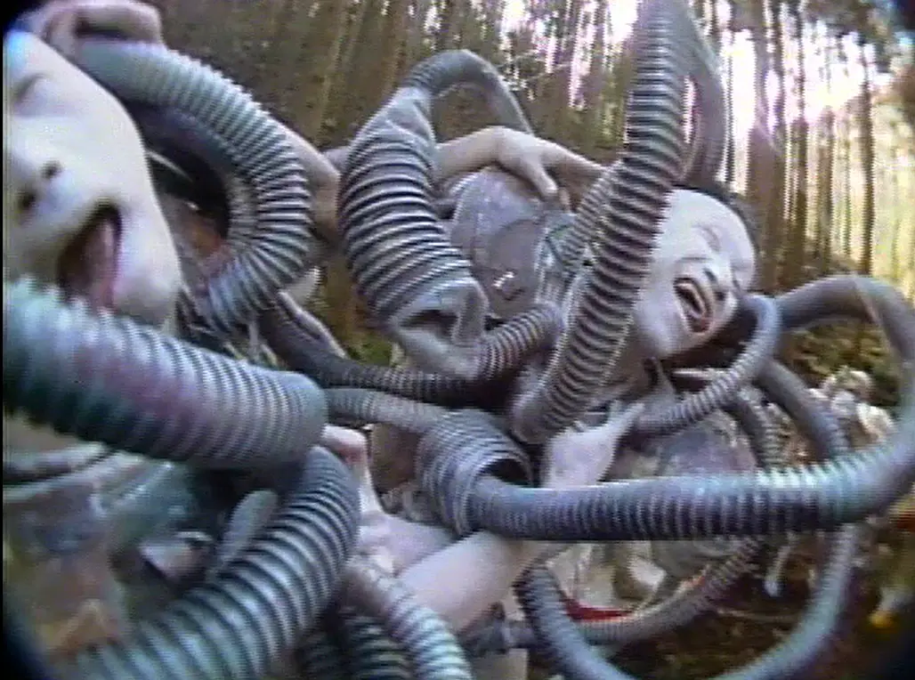 暗黑派舞踏 Dance of Darkness (Butoh)