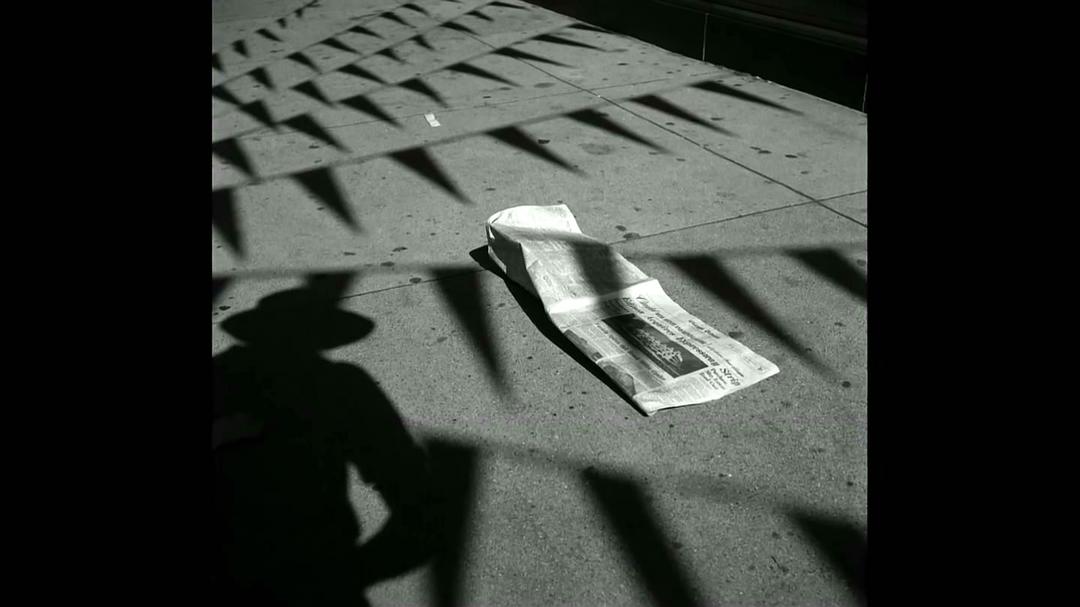 薇薇安·迈尔：谁动了保姆的照片 Vivian Maier: Who Took Nanny's Pictures