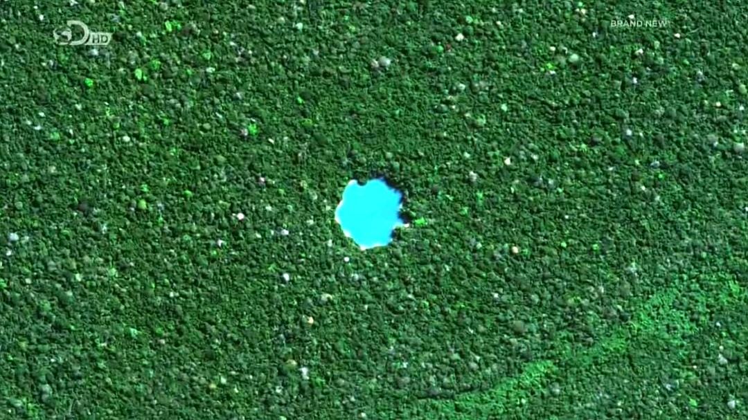 单挑神秘地表 Ed Stafford: Into the Unknown